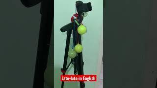 Lato lato in english