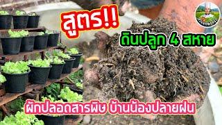 Easy Way Preparing Your Garden Soil for Vegetables | สวนผักพ่อครัว