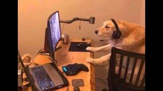 ROBLOX GAMES WITH VIEWERS