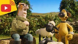 Shaun & Friends TV! Full Episodes - Cartoons for kids - Farm Animals - Brand New Stream