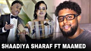 SHADIYO SHARAF FT MAHAMED MAAME FT KING CK HAB ISASIINAY REACT