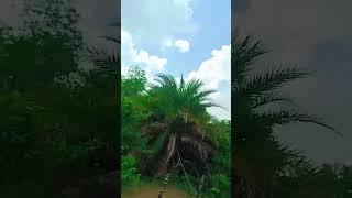 Tere bina na guzare #youtube #nature #reels #love