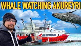 The BEST way to see Whales in Iceland!