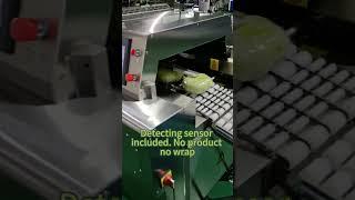 Freshness Sealed: Watch Our Fruit & Vegetable Packaging Machine in Action!