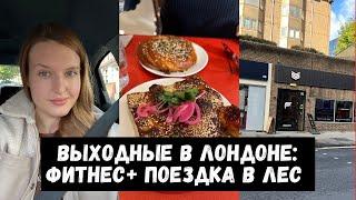 Выходные в Лондоне: Фитнес, дела и поездка за город