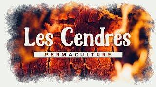 Le rôle des cendres dans son jardin permaculture !!!    #permaculture