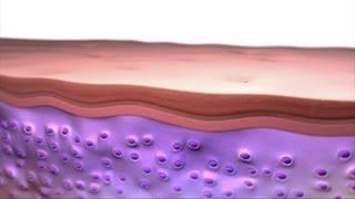 How L'dara Serum Works