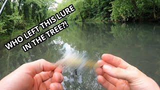 I found a BIG lure. Does it catch BIG trout? (Surprising results)