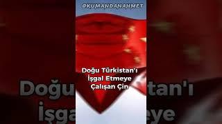 Osman Batur #shorts #doğutürkistan #doguturkistan #doğutürkistandazulümvar #fyp #fypシ