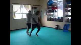 Okinawa Ryuibukan Academy: Punching training