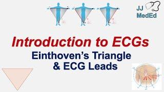 Introduction to ECG | The Basics | Einthoven’s Triangle, Limb, Augmented and Precordial Leads