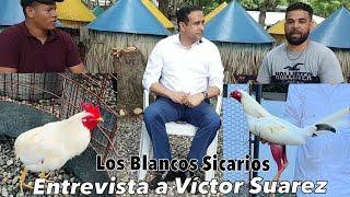 El Diputado Victor Suarez y Su Línea de Gallos Blancos