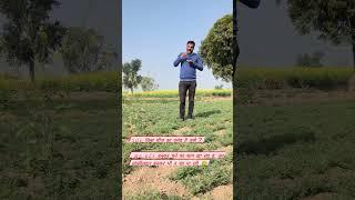 #funny #funnyvideo #imsarvdaman #motivation #rajasthangkgyan #educational