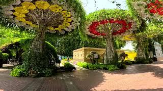 Dubai Miracle Garden: A 4K Walking Tour [Flowers] [UAE] #suhibgayyur