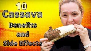 CASSAVA Benefits and Side Effects - Health Benefits of Tapioca