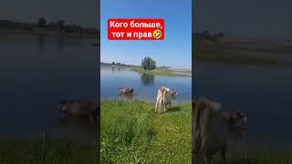 19 июня 2025 г.