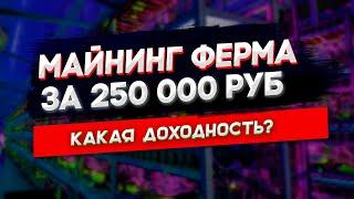 Окупаемость майнинг фермы за 250 тысяч рублей