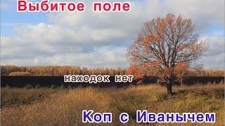 Коп в Калужской области осенью по выбитому полу около Ферзиково