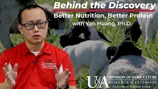 Yan Huang - Better Nutrition, Better Protein | Behind the Discovery