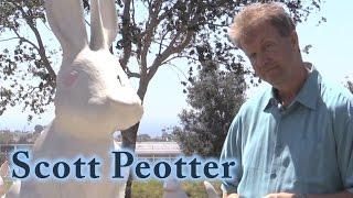 Scott Peotter for Newport Beach City Council