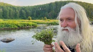 САМЫЙ ПОЛЕЗНЫЙ чай! 3 важных ингредиента для крепкого здоровья