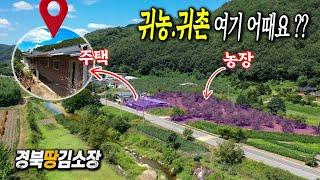 경북땅김소장[매번788번] #안동땅# 귀농.귀촌 주택에 농장까지