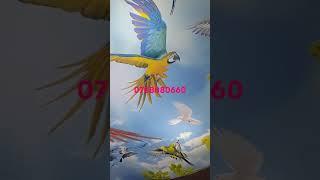 5d dartma tavan 5d dartma tavanlar 3D dartma tavan 3D Dartma tavanlar