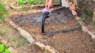 Struggling with Poor Soil? Try This EASY Fix!