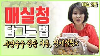 매실청담그는법 정제설탕X GI지수 낮은 건강한 매실청 담그는 꿀팁 알려드려요
