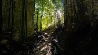 A beautiful hiking path in Germany #travel