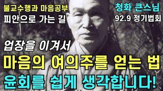 업장을 이겨 마음의 여의주를 얻는 법 | 윤회의 길과 피안의 길 불교수행과 마음공부 |청화스님 법문 19920906 태안사정기법회