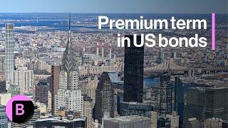 Term Premium Emerging in US Bonds, BlackRock's Hildebrand Says