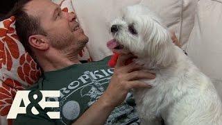 Wahlburgers: Who Gets the Special Room? (Season 3, Episode 2) | A&E