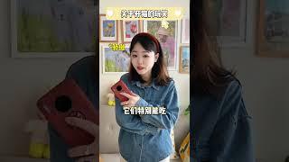 千万别说这些话养猫人听了会发飙#养猫经验分享#猫咪#科学养宠攻略#养猫人#猫猫冷知识