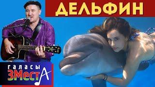 Дельфин  -  Галасы ЗМеста