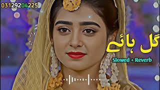 Gul Hy Zahrgay Me Pasy Chvi Pashto NewSongs | Slowed Reverb | 2024 |@SanaTypist