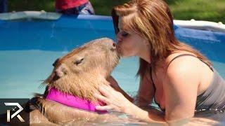 10 Unusual Human - Animal Relationships