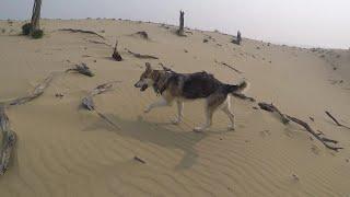 Wilderness in Yakutia | Hiking along Lena River