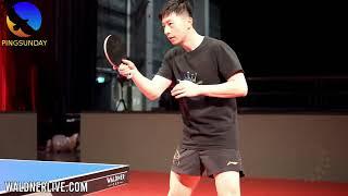 Ma Long and Chen Meng at Waldner Cup 2024