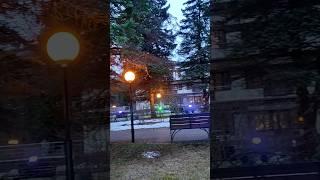 Снеговые горы тают. #tataanriпитер #санаторийбелоесолнце#зеленогорск