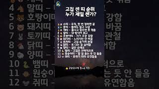고집 센 띠 순위! 누가 제일 센가?