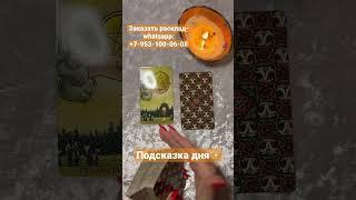 Подсказка дня. Алина Сергеева