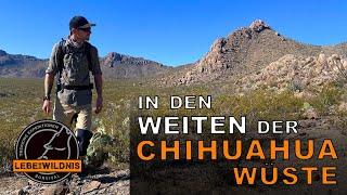 In den Weiten der CHIHUAHUA WÜSTE⎜USA, Slot Canyon, White Sands Nature Reserve, Survival Tipps