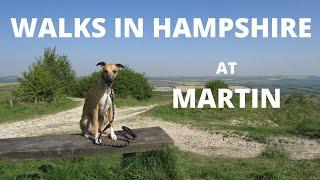 WALKS IN HAMPSHIRE : MARTIN