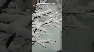 25.3.18snowing  눈이 와요#서울눈  #서울설경 #눈오는서울 #서울겨울 #눈내린서울 #서울야경 #서울스냅 #서울풍경 #겨울서울#서울명소 #눈오는날