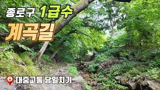 종로구 1급수 계곡 산책 | 대중교통 당일치기 여행 | 트레킹 코스