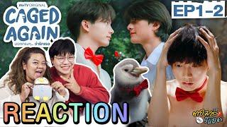 ตอมอรีแอค | Ep.1-2 Caged Again บอกกรงๆ...ว่ารักเธอ| Reaction