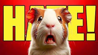 18 Things Guinea Pigs HATE!