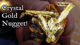 The Famous "Van Halen" Gold Nugget!