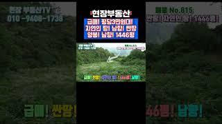 싼땅 농사 양봉 하기 좋은 땅 급매 #sorts #현장부동산 #양봉 #자연인 #가대리